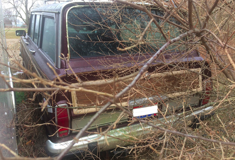 Illustration for article titled Please Help Me Decide If I Should Buy This 1979 Jeep Cherokee Golden Eagle